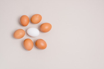 six brown eggs and one white egg laid out in the form of a flower on a beige background