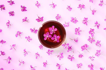 Beautiful composition of willow-herb tea and fresh flowers on pink background