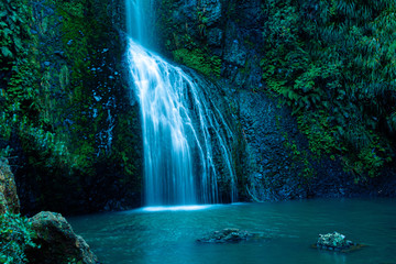 Fototapeta na wymiar Kite Kite Falls, Neuseeland, Pahia, Waterfall