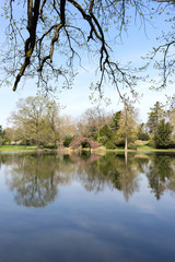 Fototapeta na wymiar Reflection of trees in the calm lake in spring