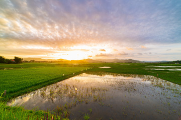 Unique countryside view in Vietnam beautiful Phu Yen province rice paddies ecosystem sunset reflection water colorful cloudscape, rural scene industrial agriculture