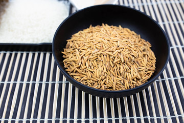 Paddy rice and rice seed on black vessel. Brown of rice grain and close-up of rice pile.