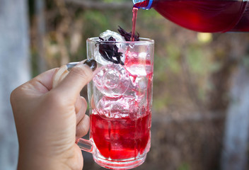 Pouring roselle drink, Summer drink. Glass of roselle drink with ice.