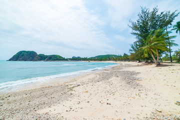 Secluded tropical beach turquoise transparent water palm trees, Bai Om undeveloped bay Quy Nhon Vietnam central coast travel destination, desert white sand beach no people clear blue sky