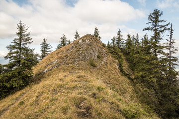 mountain scenery with meadow, smaller rocks, trees and hiking trail during partly cloudy autumn day
