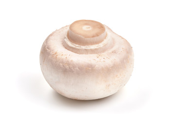 Champignon, isolated on white background