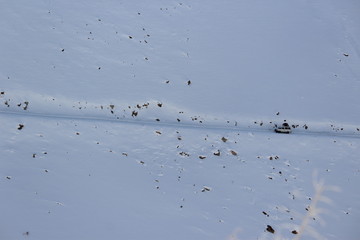 aerial view of jeep in the snowy himalaya mountains