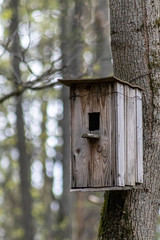 wooden bird house