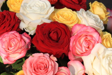 Rose bouquet in bright colors