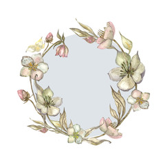 White hellebores flower wreath. Watercolor hand drawn illustration for wedding design, card, poster, logo floral shop, organic