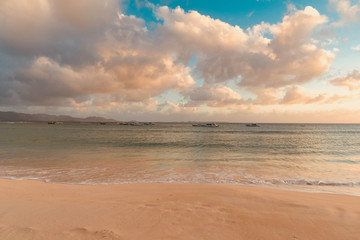 sunset palm trees on white sand tropical island of Anguilla