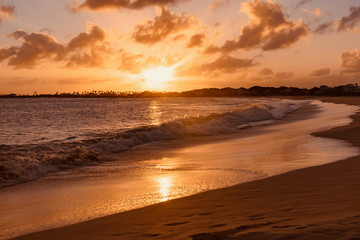 Fototapeta na wymiar sunset palm trees on white sand tropical island of Anguilla