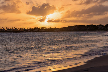 sunset palm trees on white sand tropical island of Anguilla