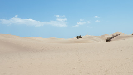 Dunes in summer in Canary Islands (Spain)