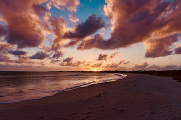 Fototapeta na wymiar luxury and palm trees on the white sand tropical island of Anguilla