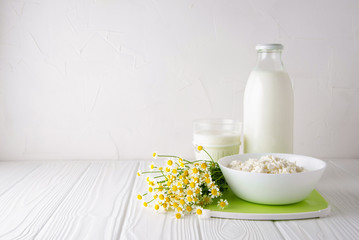 Kefir drink with and fermented dairy product curd on the white background with copy space