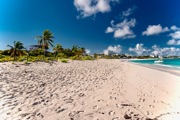 luxury and palm trees on the white sand tropical island of Anguilla