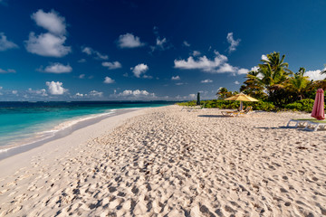 luxury and palm trees on the white sand tropical island of Anguilla