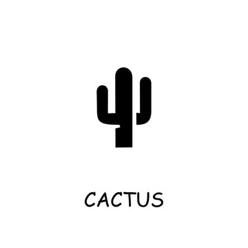 Cactus flat vector icon