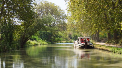 Tourisme fluvial, péniche amarrée sur le Canal du Midi bordé d'arbres en été (France)
