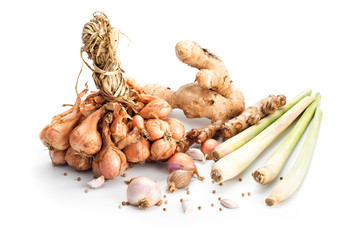 Group herbs consist of shallot ,garlic,lemon grass,ginger,turmeric and coriander seeds isolated on white background.top view