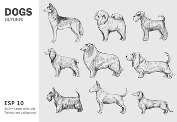 Set of popular breeds of dog. Hand drawn vector outlines. Black on transparent background