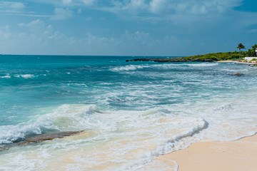 luxury and palm trees on the white sand tropical island of Anguilla