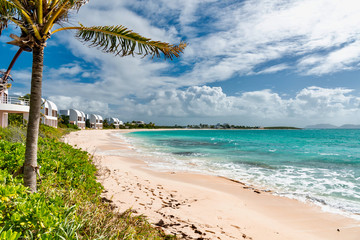 luxury and palm trees on the white sand tropical island of Anguilla