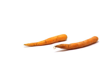 Two carrots (Daucus carota) isolated on white background