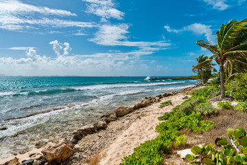 luxury and palm trees on the white sand tropical island of Anguilla