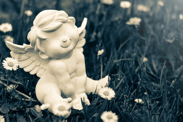 Little guardian angel and daisy flowers