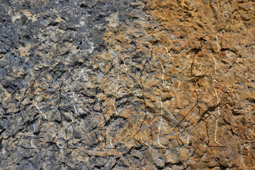 Homo évolution-croissance-modernisation incrusté dans la roche