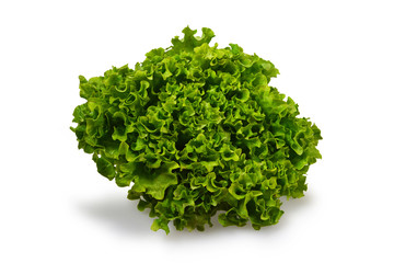 Lettuce in the bowl isolated on white background