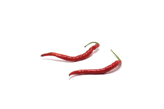 Two curly red chillies (Capisicum annuum) low angle isolated on white background