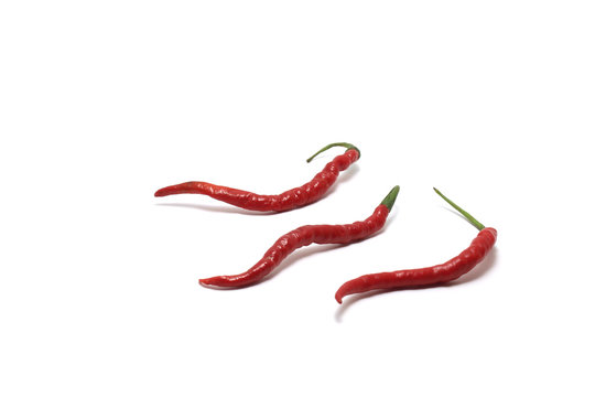 Three curly red chillies (Capisicum annuum) low angle isolated on white background