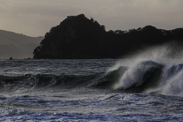 New Zealand Surf