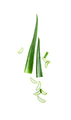 Flying in the air slices of aloe vera and fresh green leaves isolated on a white background. Healthy skincare ingredients for ad cosmetology mockup. Wide.