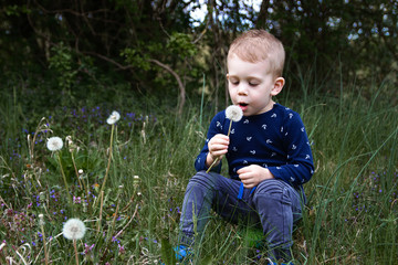 Blonde kid blowing dandelion