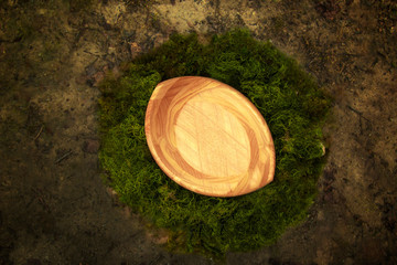 Wooden Bowl Fantasy Background Photo Prop with vine and green moss Isolated on natural ground.