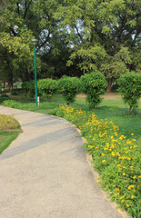 Pathway in a garden in New Delhi