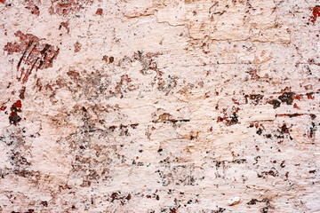 Texture of a concrete wall with cracks and scratches which can be used as a background