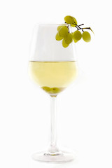 glass of white wine