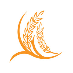 Fototapeta premium Agriculture wheat logo or symbol icon design illustration