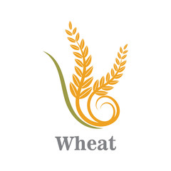 Agriculture wheat logo or symbol icon design illustration