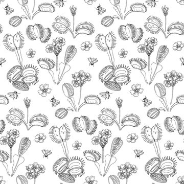 Dionaea muscipula hand draw vector pattern