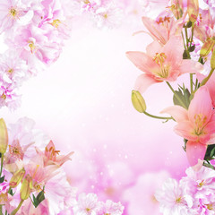 Fototapeta na wymiar Pink background with beautiful cherry flowers for your design and home decor