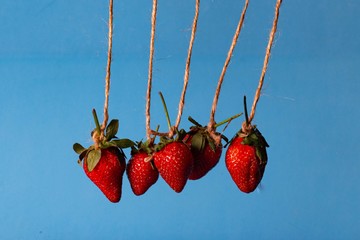 pendulum from berries of red strawberries on a blue background