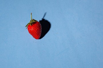 red strawberry on a blue background