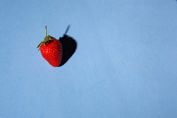 red strawberry on a blue background