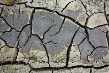 Gray cracked earth background texture